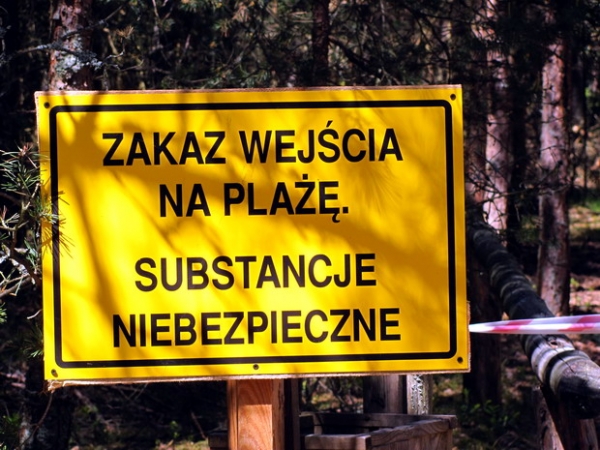 Zdjęcie z Polski - Plaża w Czołpinie.