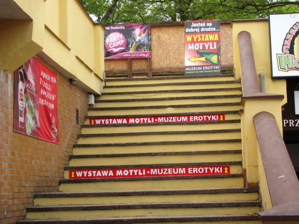 Zdjęcie z Polski - Łeba - Muzeum Motyli...