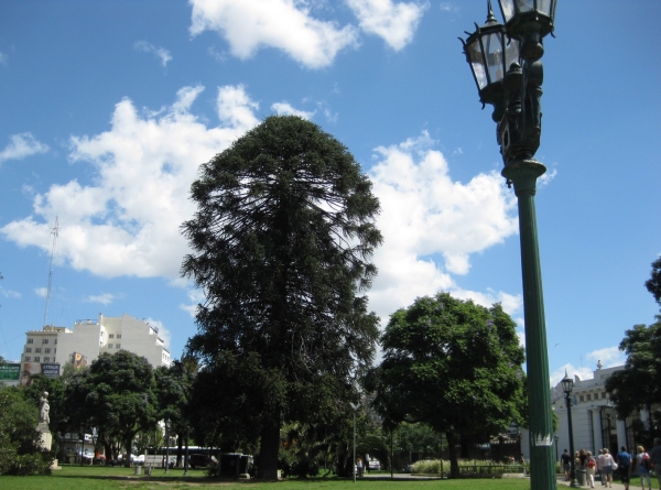 Zdjęcie z Argentyny - Buenos Aires