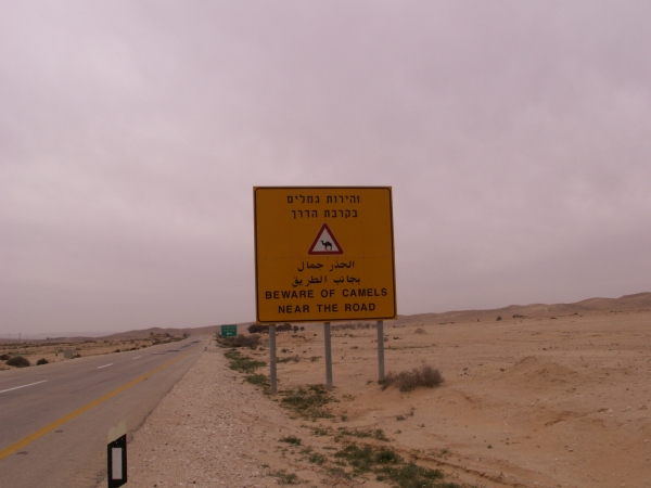 Zdjęcie z Izraelu - Negev
