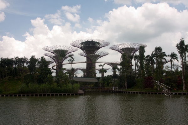 Zdjęcie z Singapuru - SINGAPUR