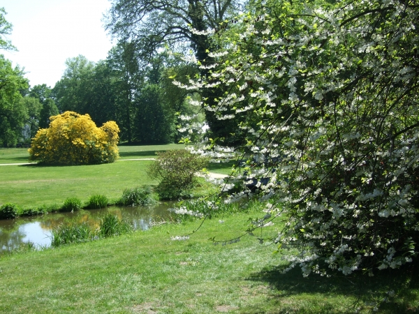 Zdjęcie z Polski - park w Łęknicy