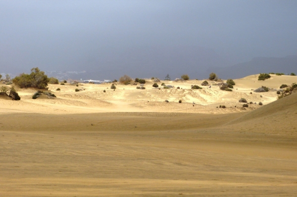 Zdjęcie z Hiszpanii - wydmy Maspalomas