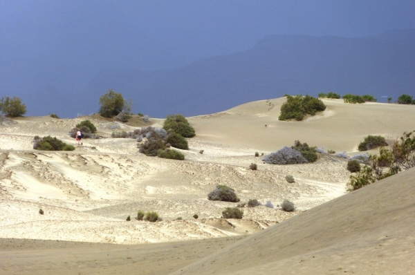 Zdjęcie z Hiszpanii - wydmy Maspalomas