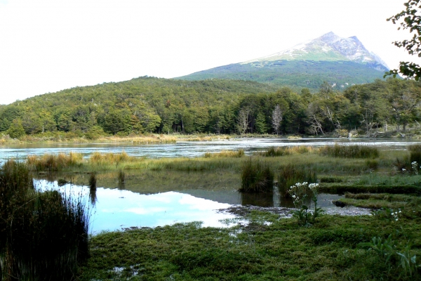 Zdjęcie z Argentyny - wędrówka po okolicy...