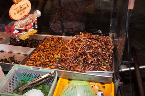 Zdjęcie z Tajlandii - PATTAYA
