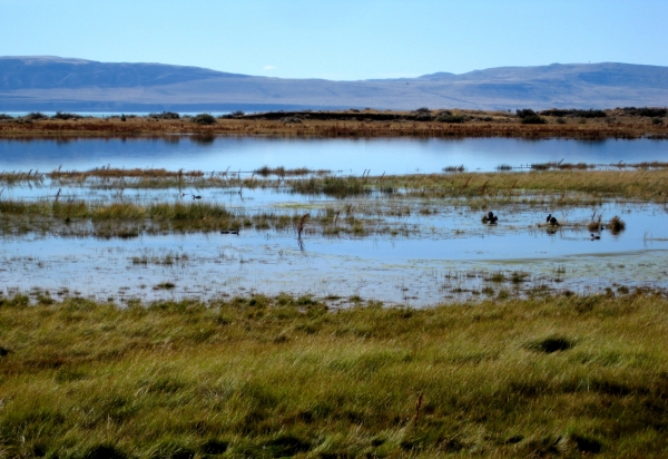 Zdjęcie z Argentyny - Laguna Nimez