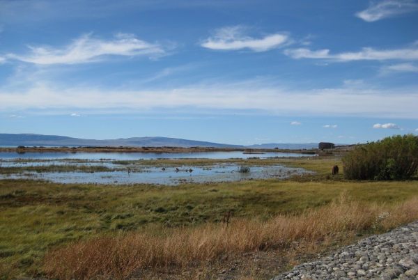 Zdjęcie z Argentyny - Laguna Nimez