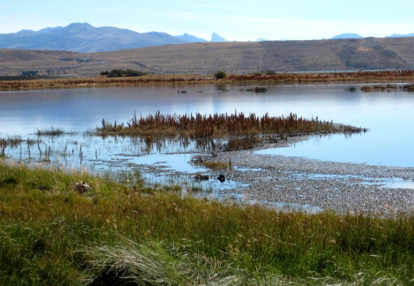 Zdjęcie z Argentyny - Laguna Nimez