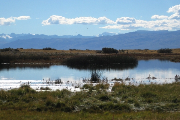 Zdjęcie z Argentyny - Laguna Nimez