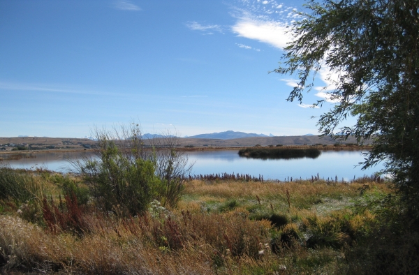 Zdjęcie z Argentyny - Laguna Nimez