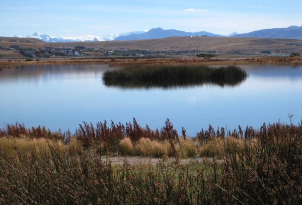 Zdjęcie z Argentyny - Laguna Nimez
