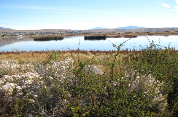 Zdjęcie z Argentyny - Laguna Nimez