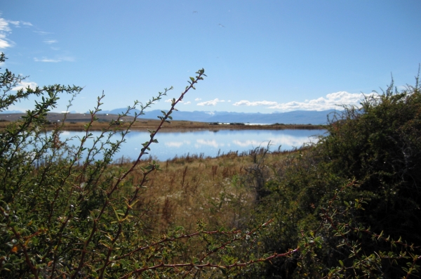 Zdjęcie z Argentyny - Laguna Nimez