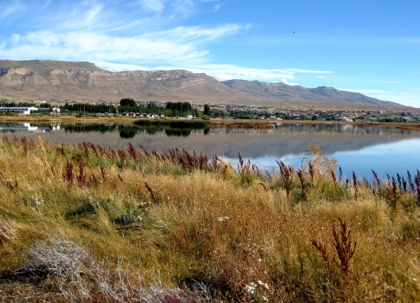 Zdjecie - Argentyna - El Calafate