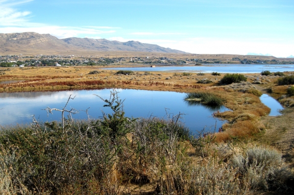 Zdjęcie z Argentyny - Laguna Nimez