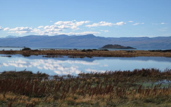 Zdjęcie z Argentyny - Laguna Nimez