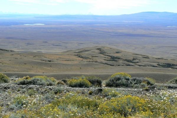 Zdjęcie z Argentyny - Patagonia