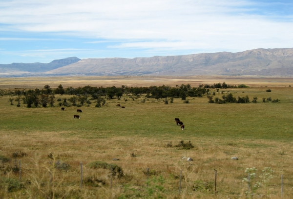 Zdjęcie z Argentyny - Patagonia
