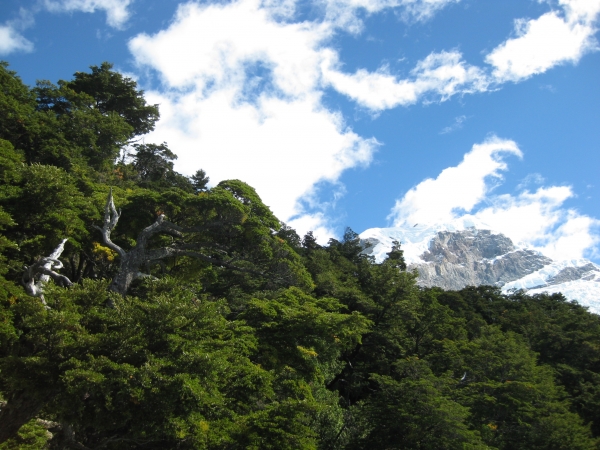 Zdjęcie z Argentyny - Los Glaciares