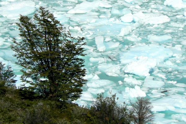 Zdjęcie z Argentyny - Lodowiec Perito Moreno