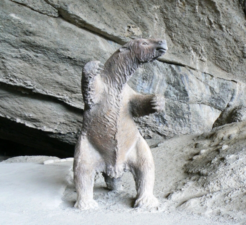 Zdjęcie z Chile - Milodon