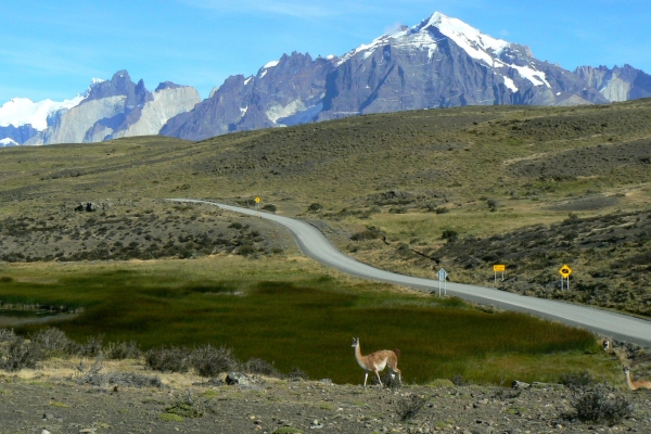 Zdjęcie z Chile - Torres del Paine