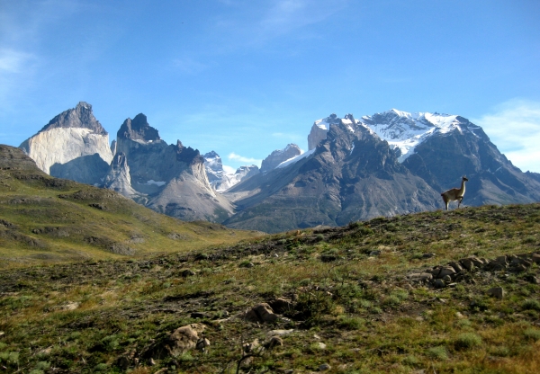 Zdjęcie z Chile - Torres del Paine
