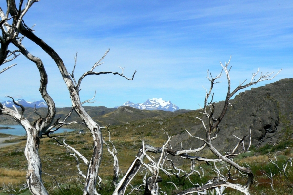 Zdjęcie z Chile - Torres del Paine