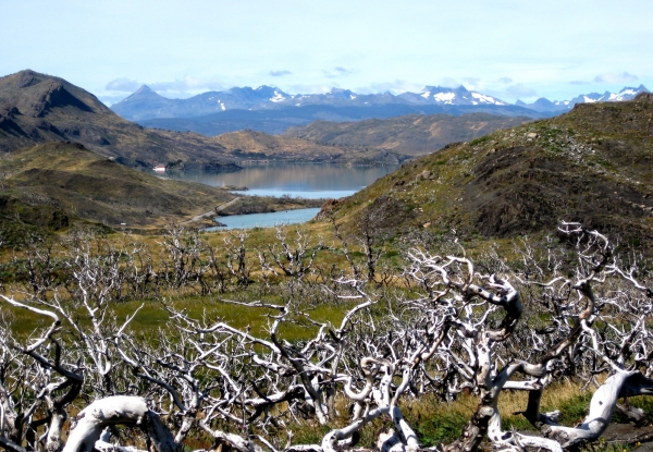 Zdjęcie z Chile - Torres del Paine