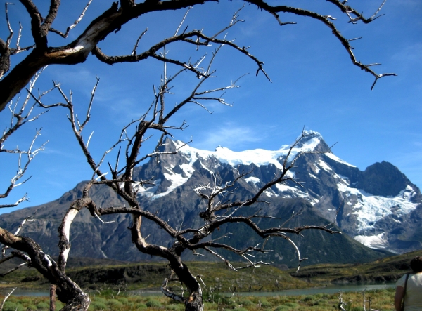 Zdjęcie z Chile - Torres del Paine