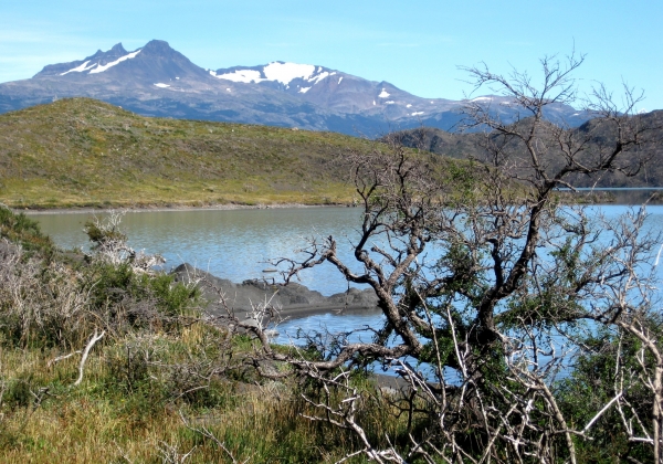 Zdjęcie z Chile - Torres del Paine