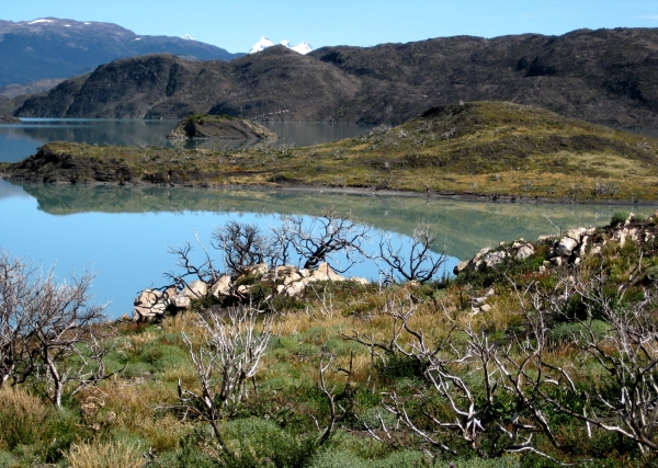 Zdjęcie z Chile - Torres del Paine