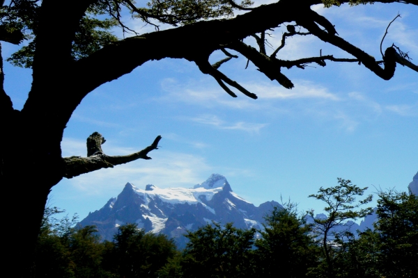 Zdjęcie z Chile - Torres del Paine