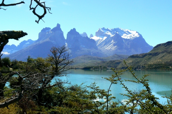 Zdjęcie z Chile - Lago Pehoe