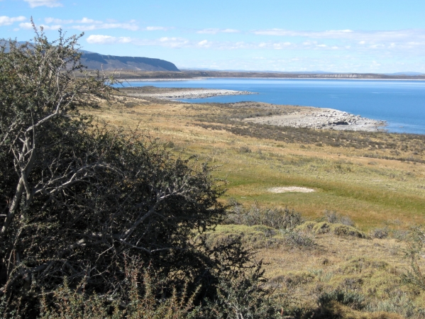 Zdjęcie z Chile - Lago Sarmiento