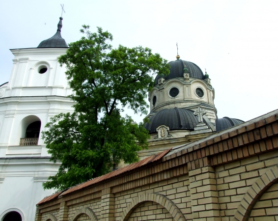 Zdjęcie z Ukrainy - Żółkiew