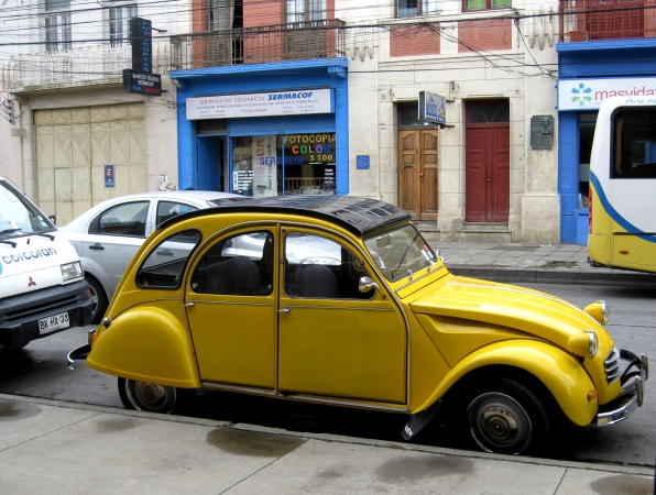 Zdjęcie z Chile - w Punta Arenas