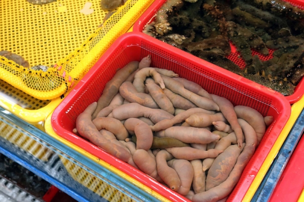 Zdjęcie z Korei Południowej - PUSAN