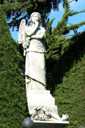 Zdjęcie z Chile - Punta Arenas