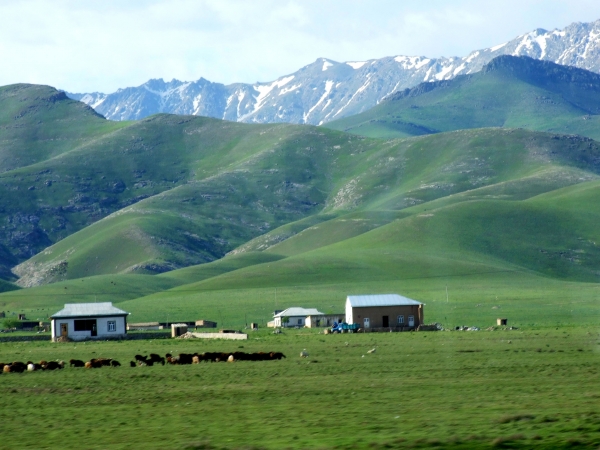 Zdjęcie z Uzbekistanu - wyjazd z Samarkandy