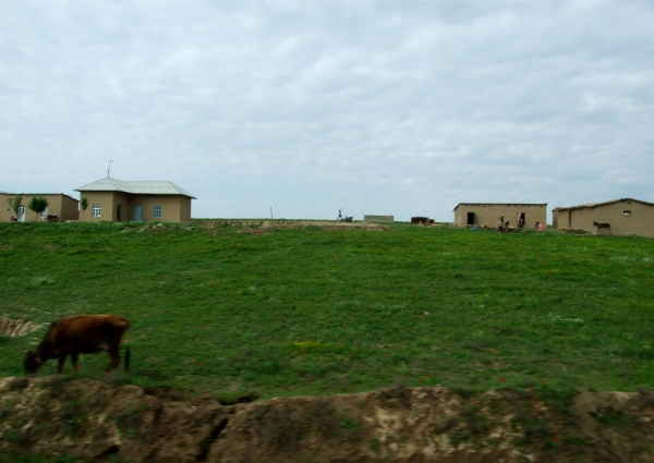 Zdjęcie z Uzbekistanu - wyjazd z Samarkandy