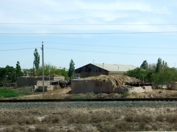 Zdjęcie z Uzbekistanu - gospodarstwa