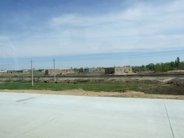Zdjęcie z Uzbekistanu - autostrada w budowie