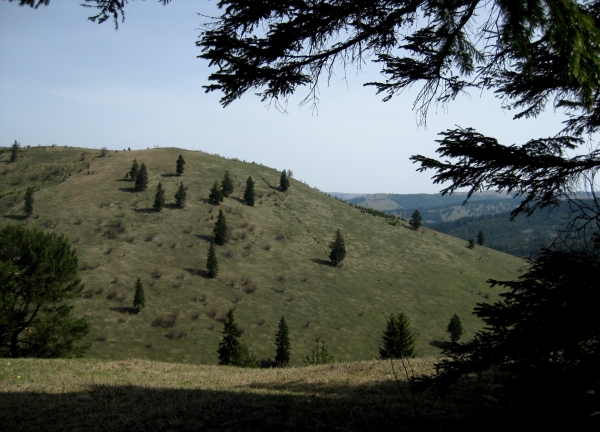 Zdjęcie z Rumunii - Góry Ciuk