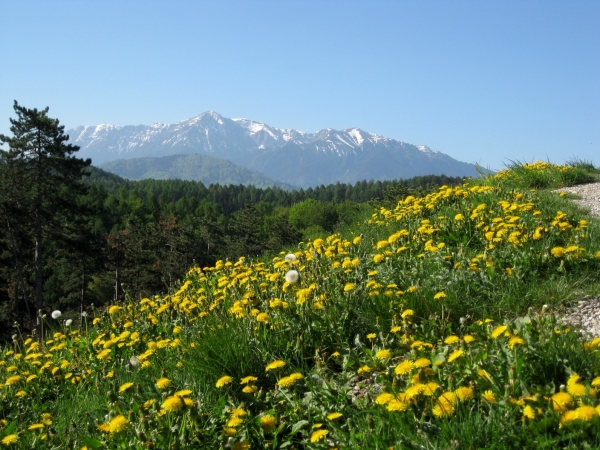 Zdjęcie z Rumunii - rumuńskie Karpaty