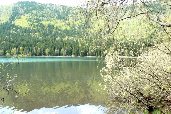 Zdjęcie z Rumunii - Jezioro św.Anny
