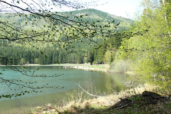 Zdjęcie z Rumunii - Jezioro św.Anny