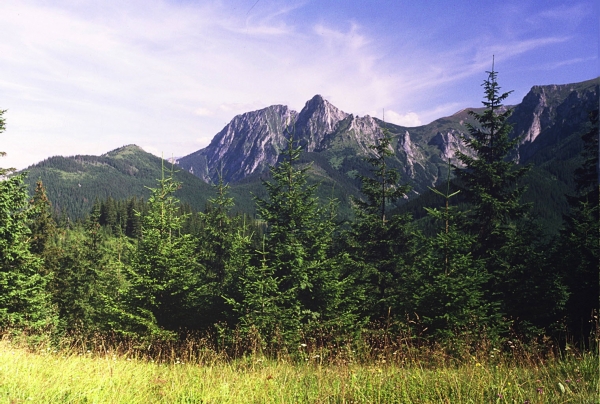 Zdjęcie z Polski - Giewont