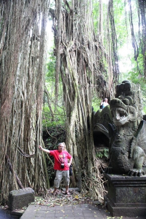 Zdjęcie z Indonezji - Monkey Forest-